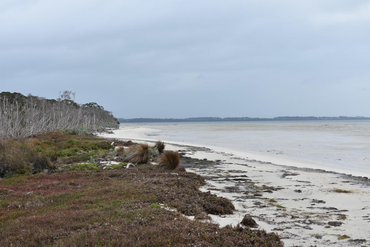 Tidal Dreaming Seaview Cottages Yanakie Extérieur photo